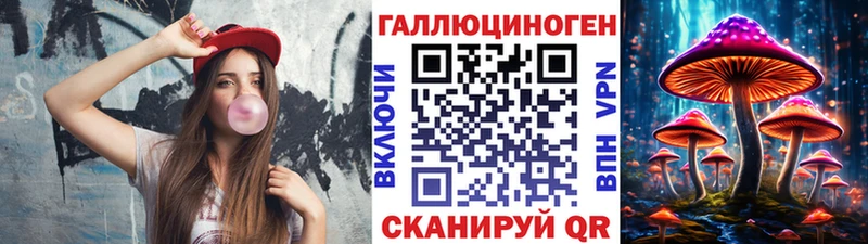 Псилоцибиновые грибы Psilocybine cubensis  Дербент 